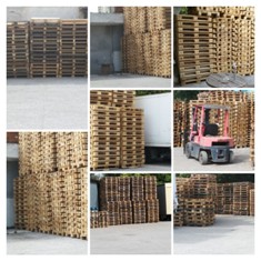 20170608_110425-COLLAGE (1).jpg